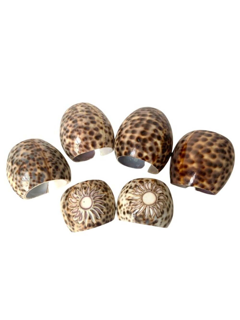 6 Tiger Cowrie Shell Napkin Rings Table Decor